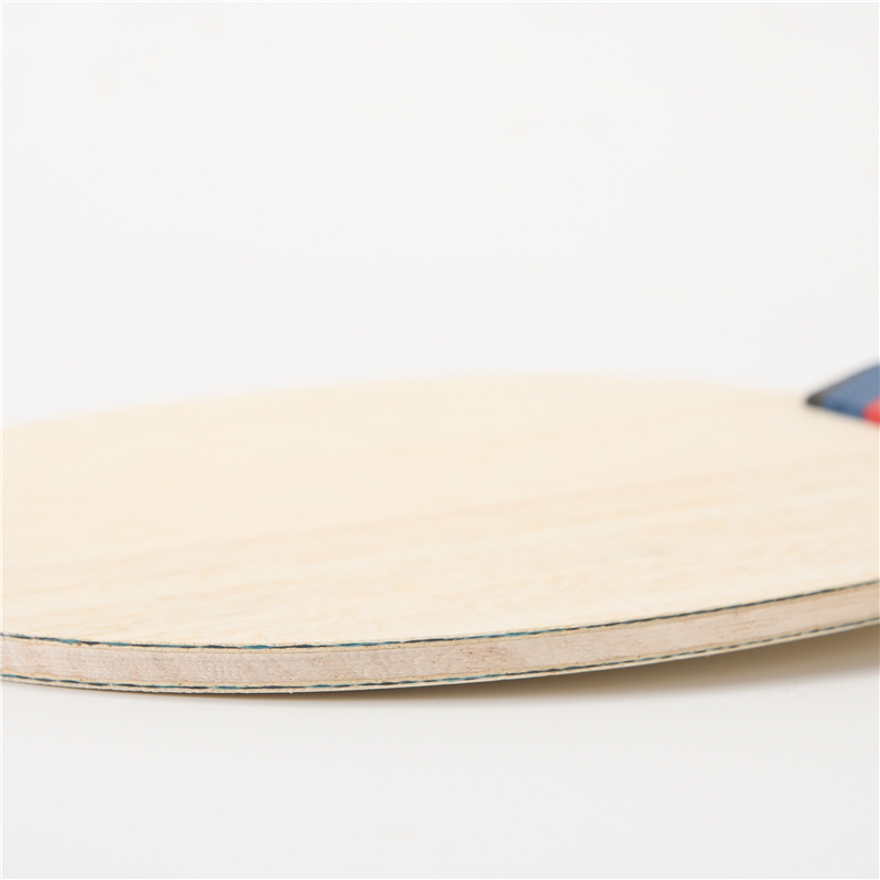 Stuor 7Plys 블루 탄소 섬유 탁구 블레이드 탁 - Table Tennis Logo Free 리뷰 및 가격