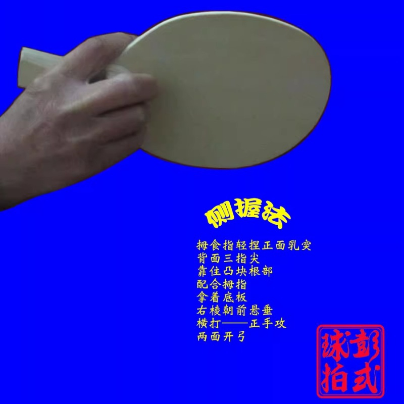 중국어/일본식 탁구 라켓 프로 수준의 불규칙한 모양 탁 - Table Tennis Xiom 리뷰 및 가격